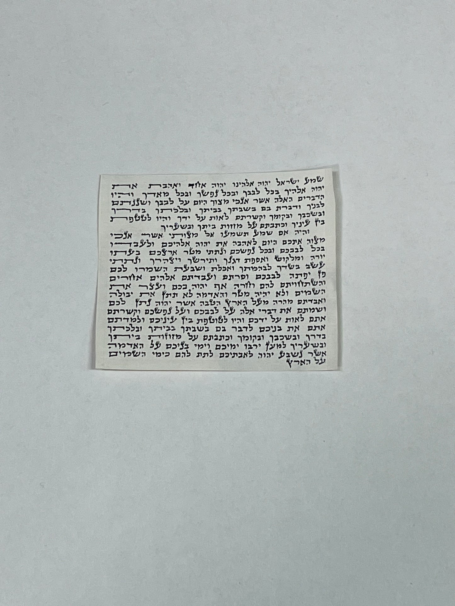 Kosher Scroll (MINI)